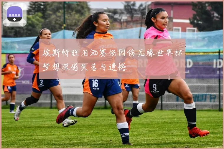 埃斯特旺泪洒赛场因伤无缘世界杯梦想深感失落与遗憾
